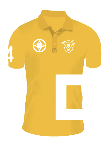 Yellow Four Living Creatures T-shirt